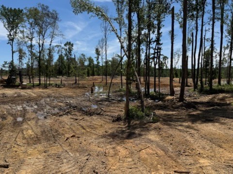 0 County Road 5509