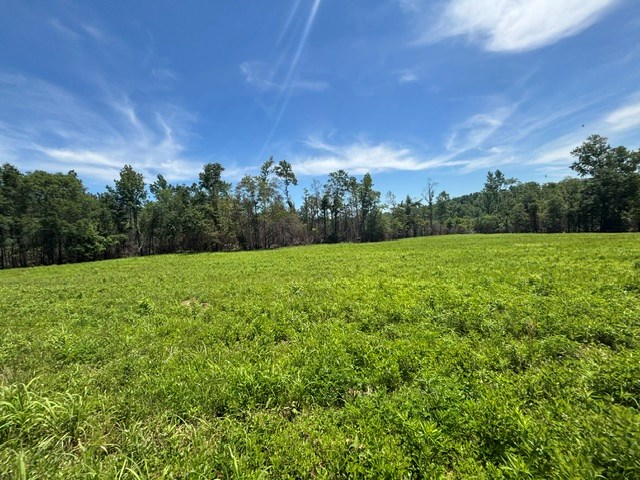 0 County Road 5509
