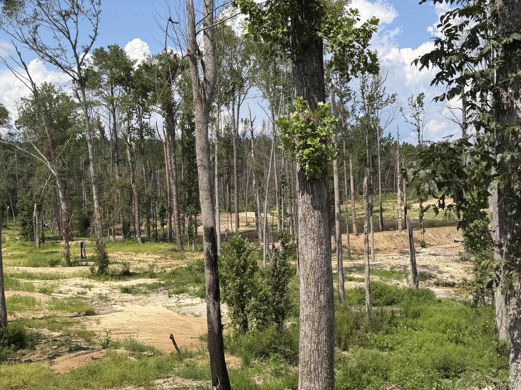 0 County Road 5509