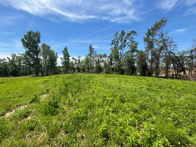 0 County Road 5509