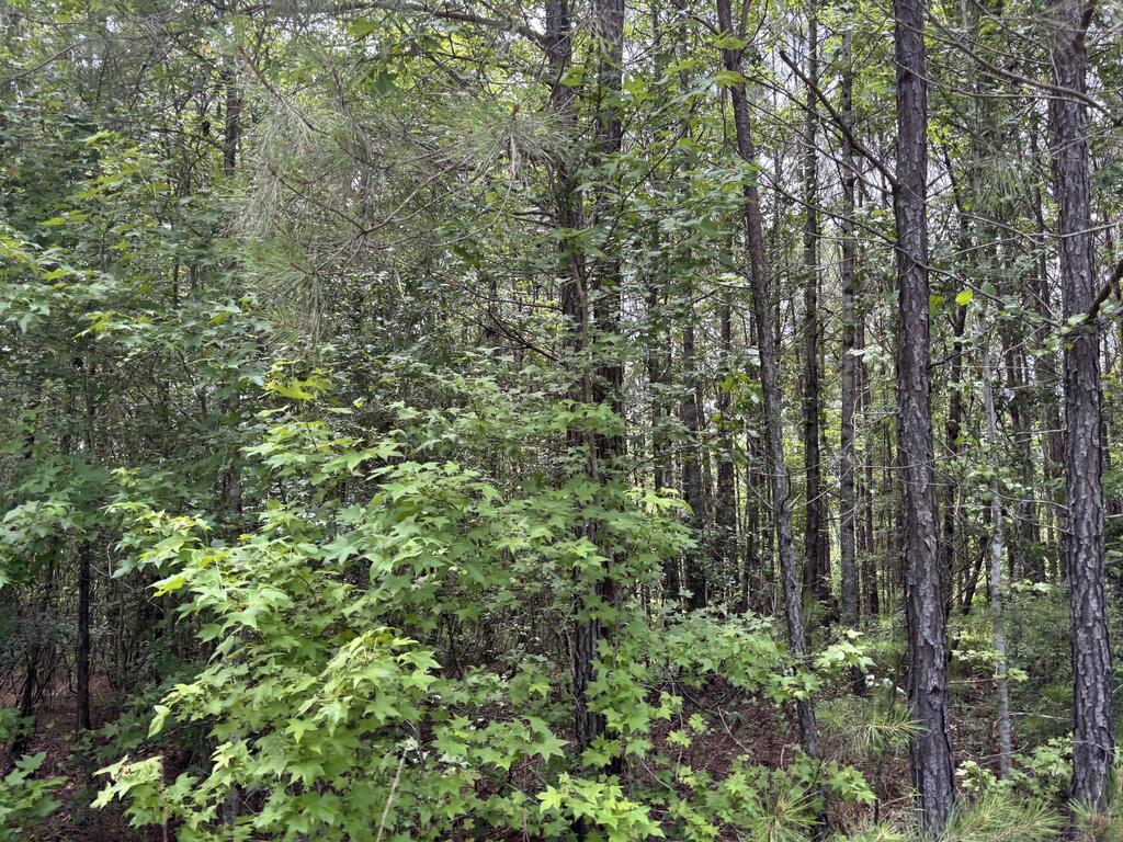 0 County Road 53