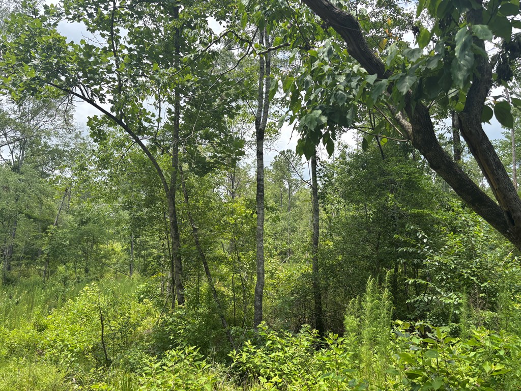 0 County Road 53