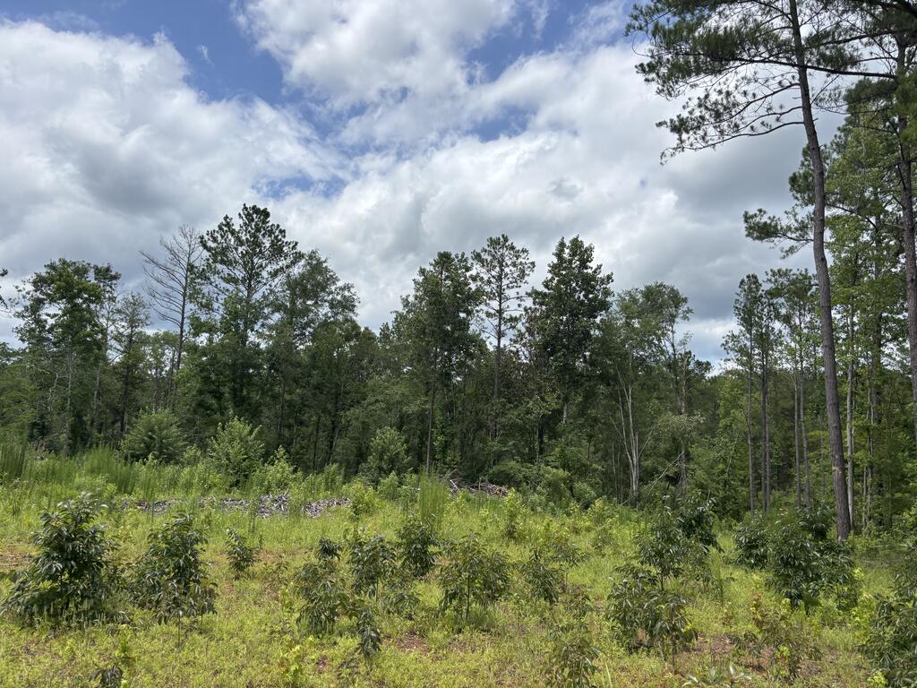 0 County Road 53
