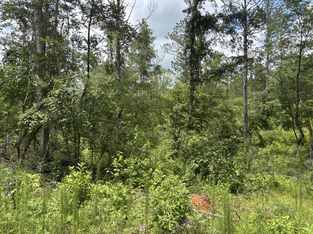0 County Road 53