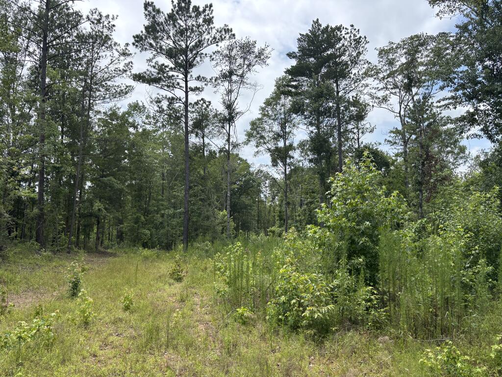 0 County Road 53