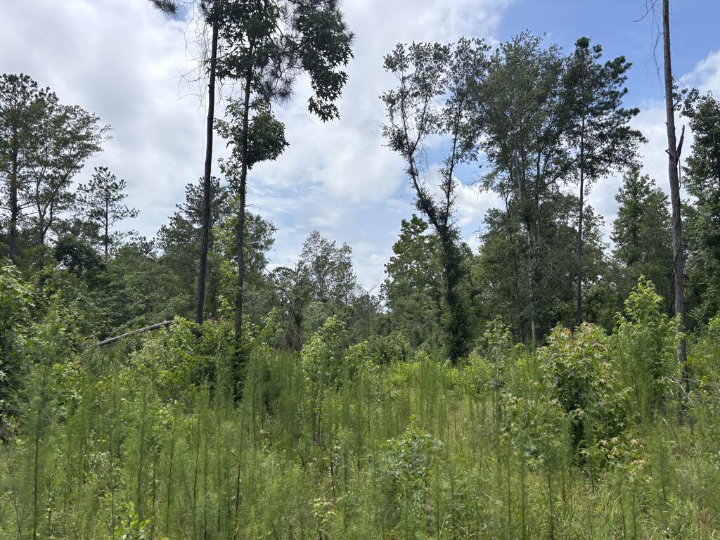 0 County Road 53