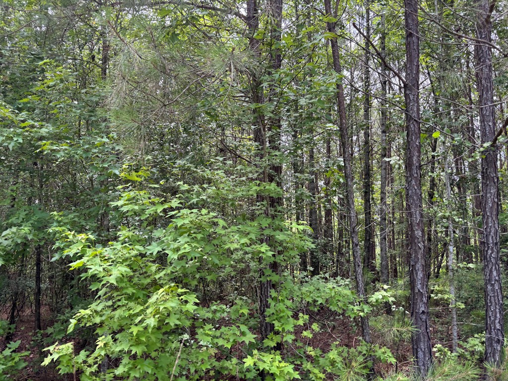 0 County Road 53