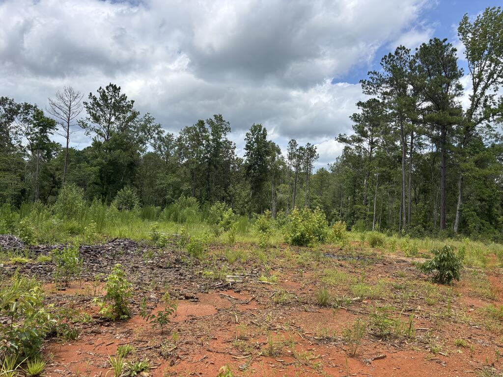 0 County Road 53