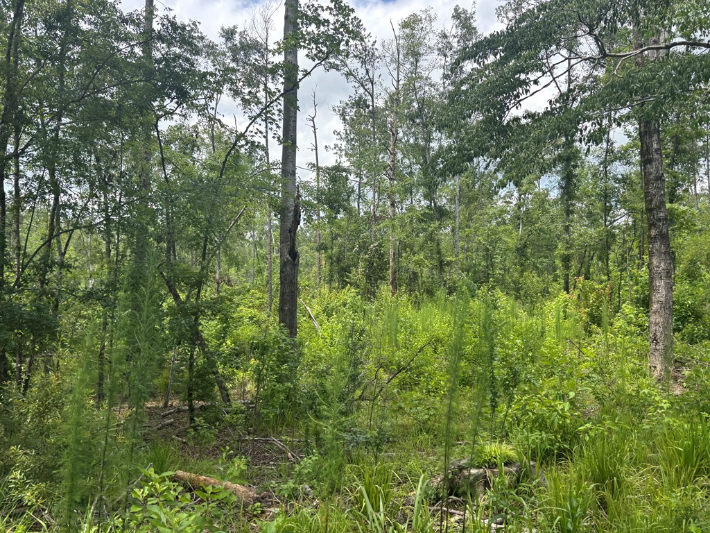 0 County Road 53