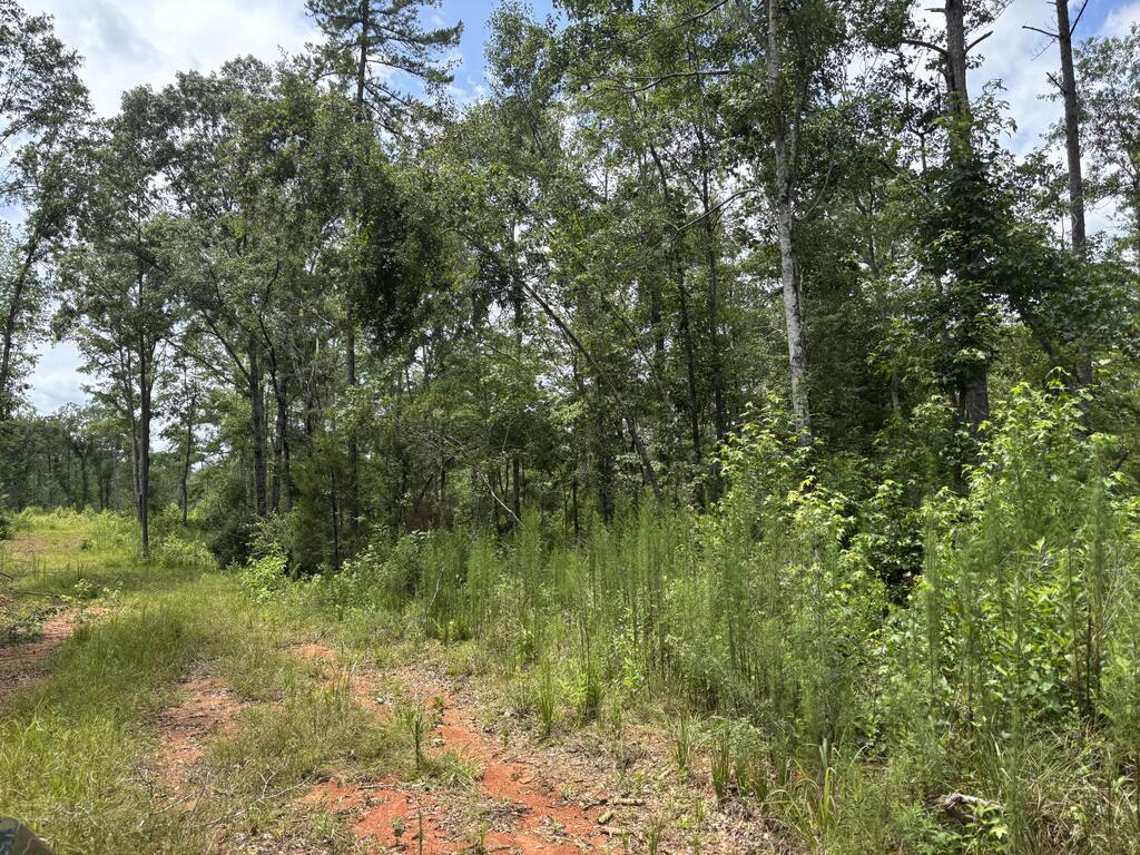 0 County Road 53