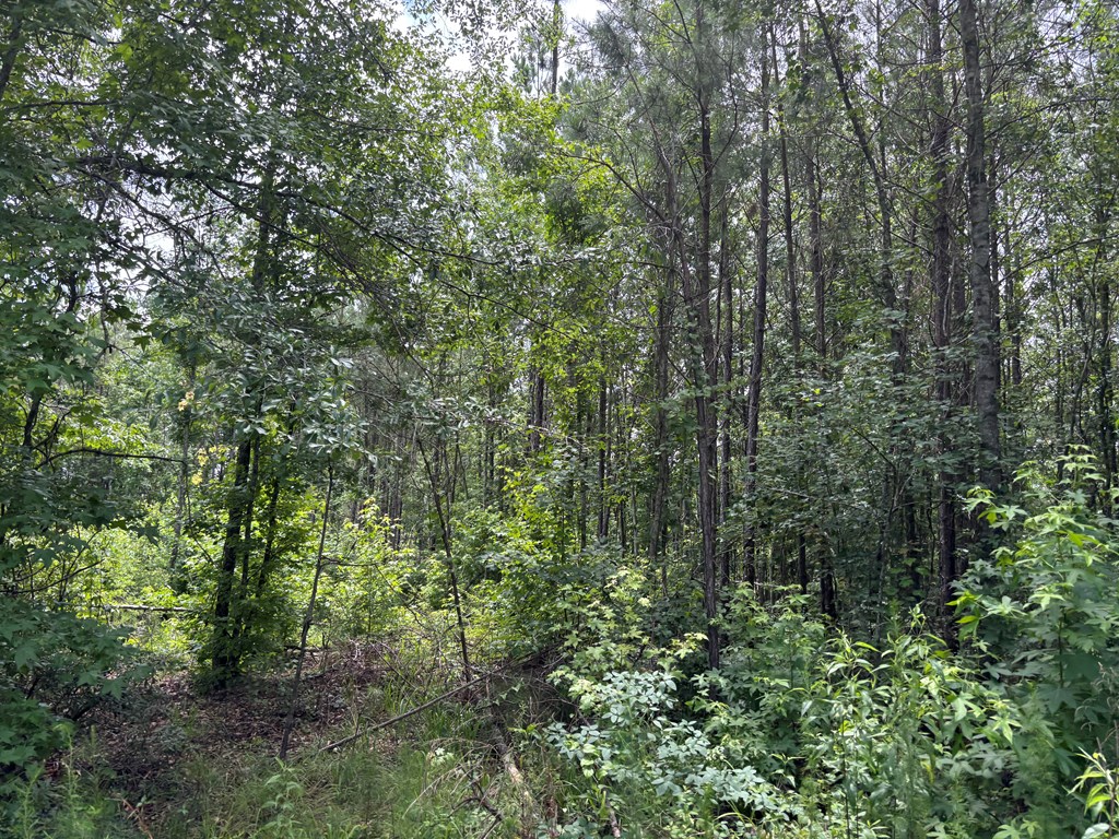 0 County Road 53