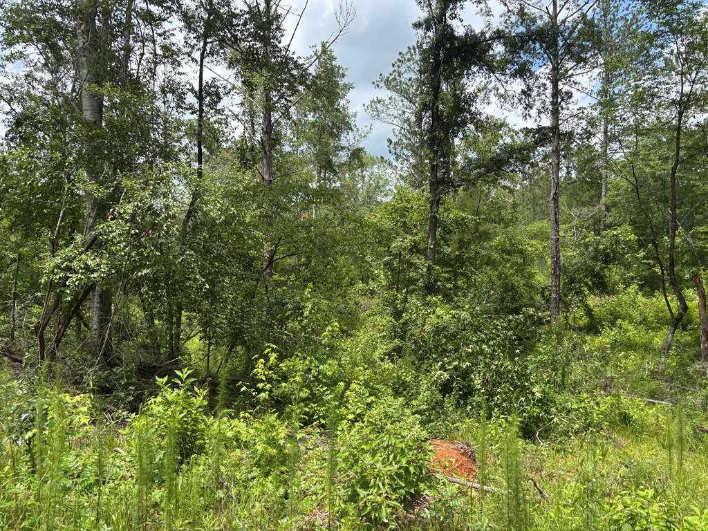 0 County Road 53