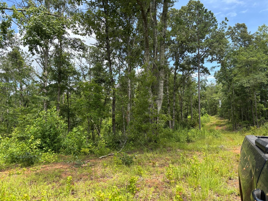 0 County Road 53