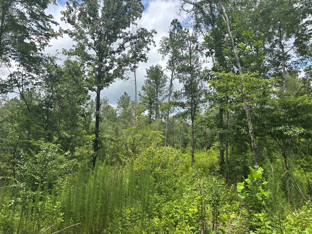 0 County Road 53
