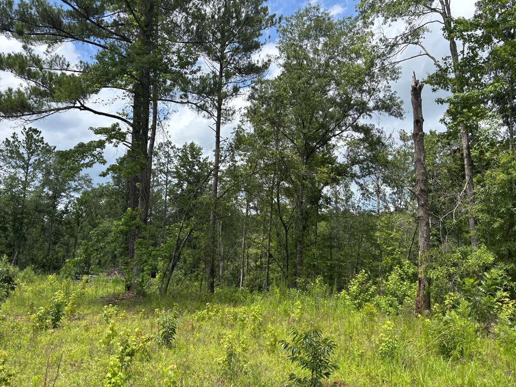 0 County Road 53