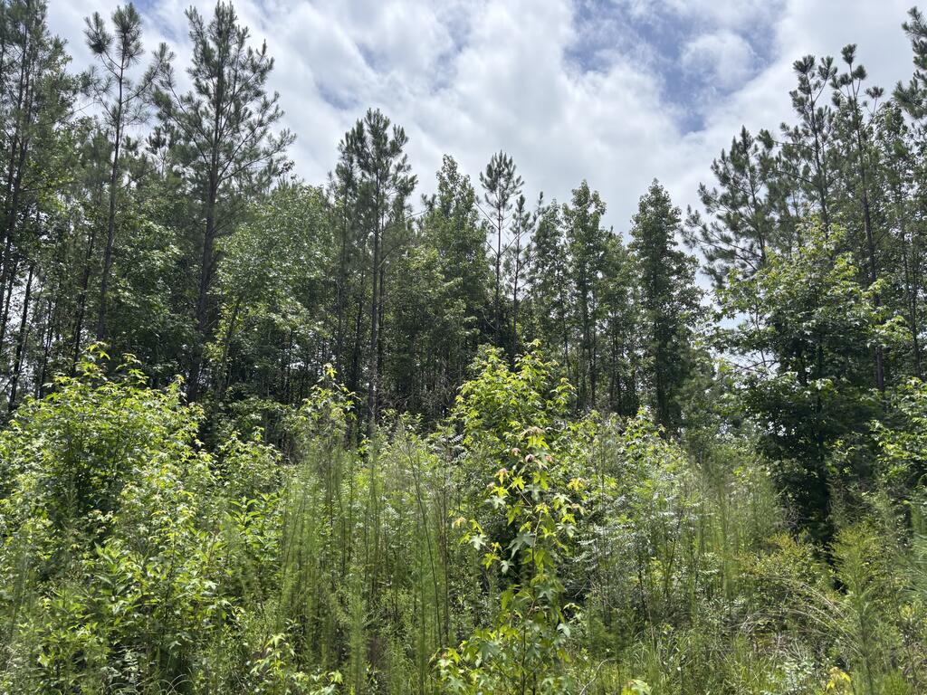 0 County Road 53