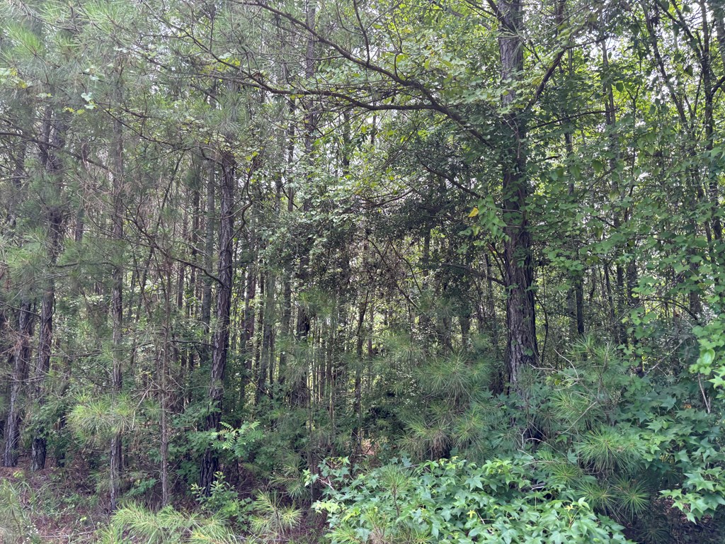0 County Road 53