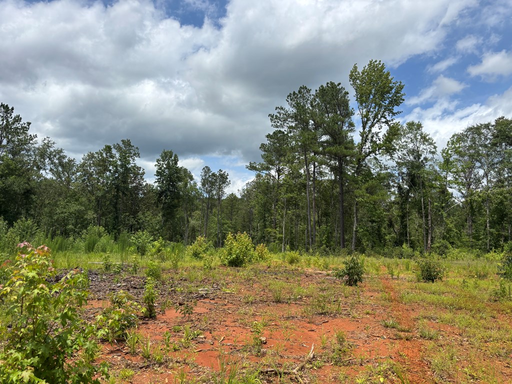 0 County Road 53