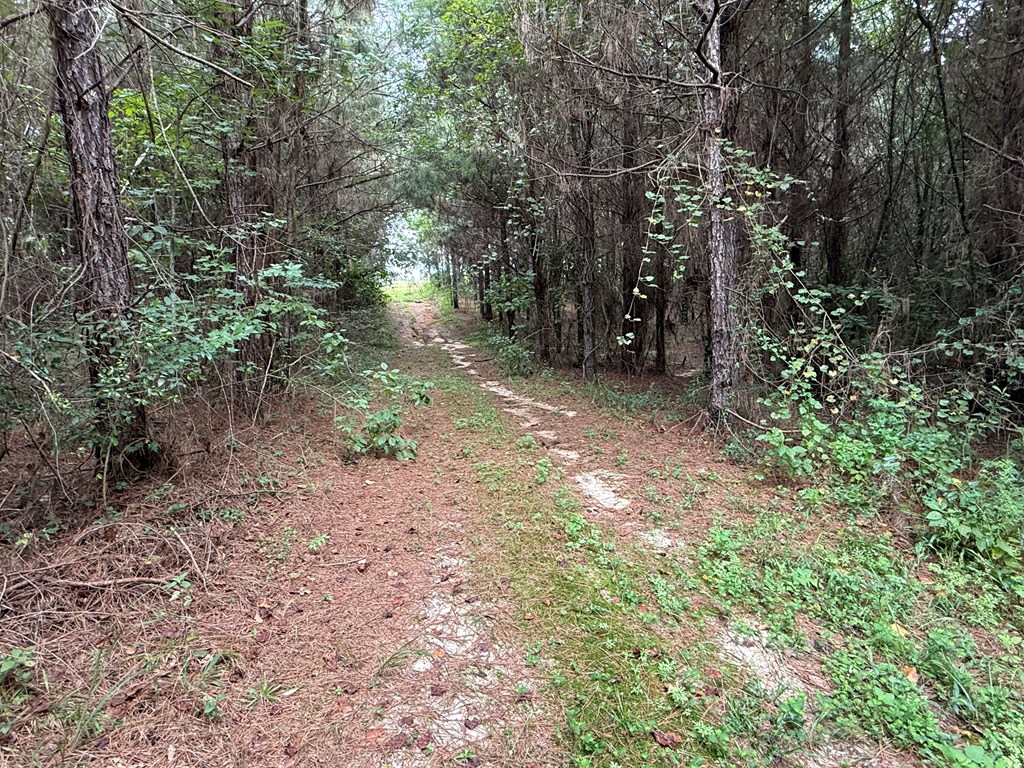 410 County Rd 2401