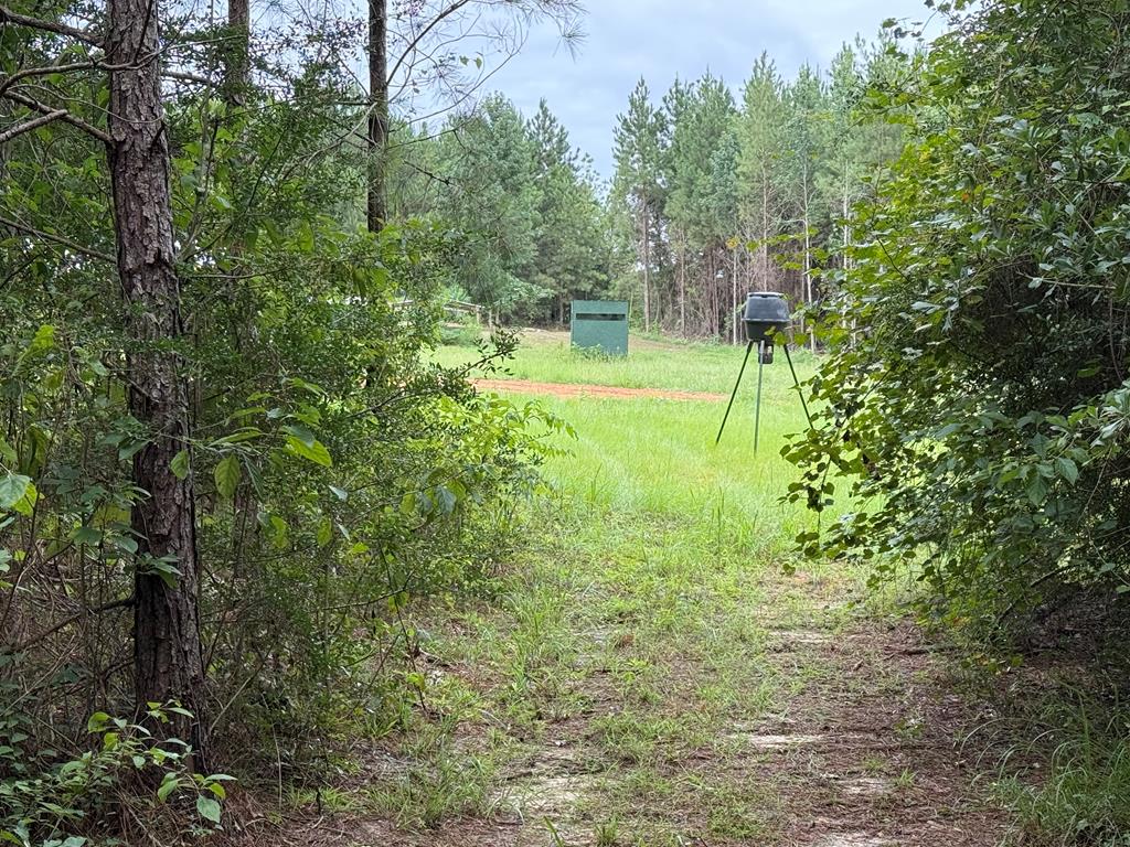 410 County Rd 2401