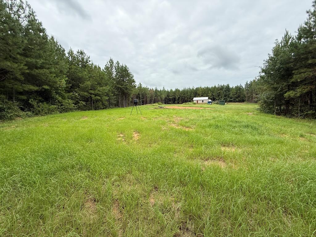 410 County Rd 2401