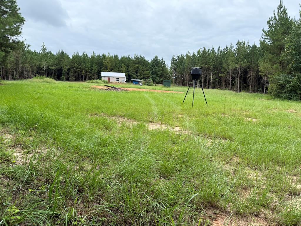 410 County Rd 2401