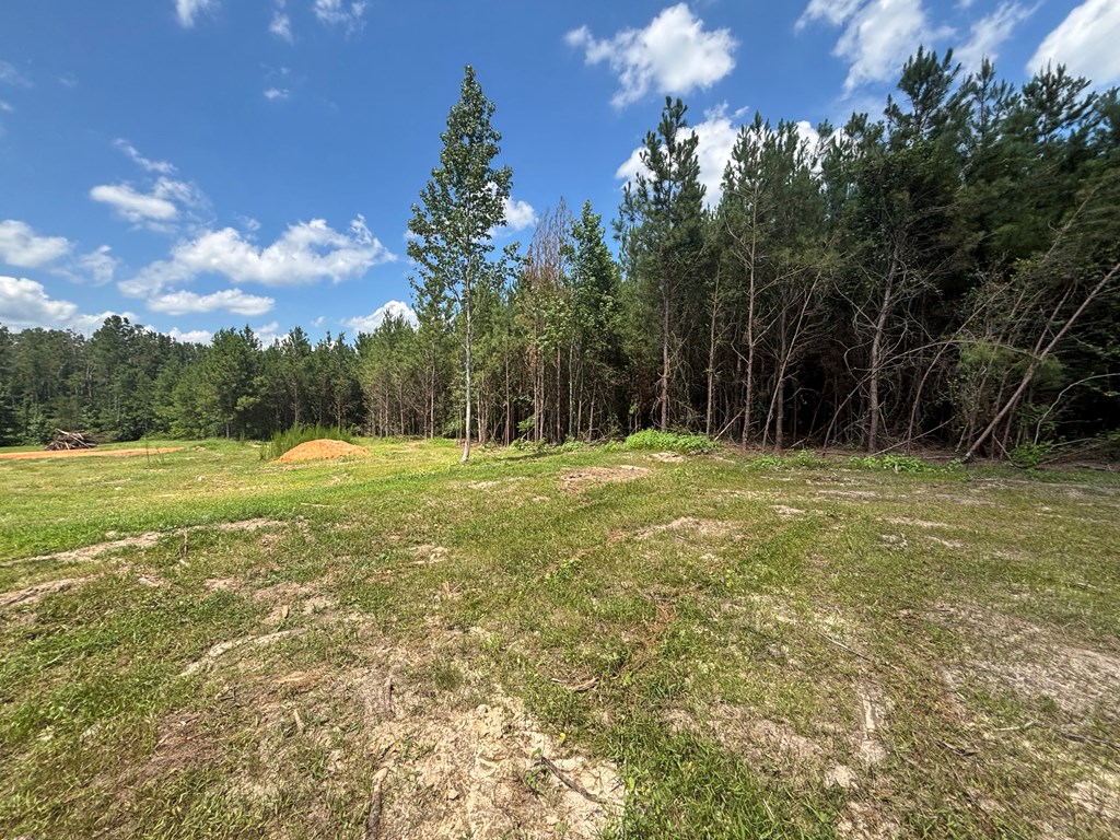410 County Rd 2401