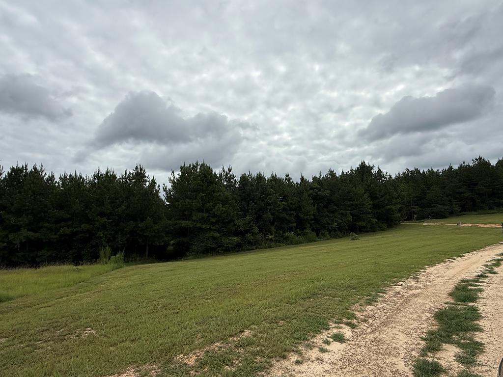 410 County Rd 2401