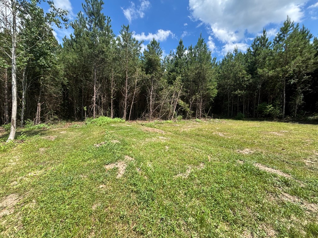 410 County Rd 2401