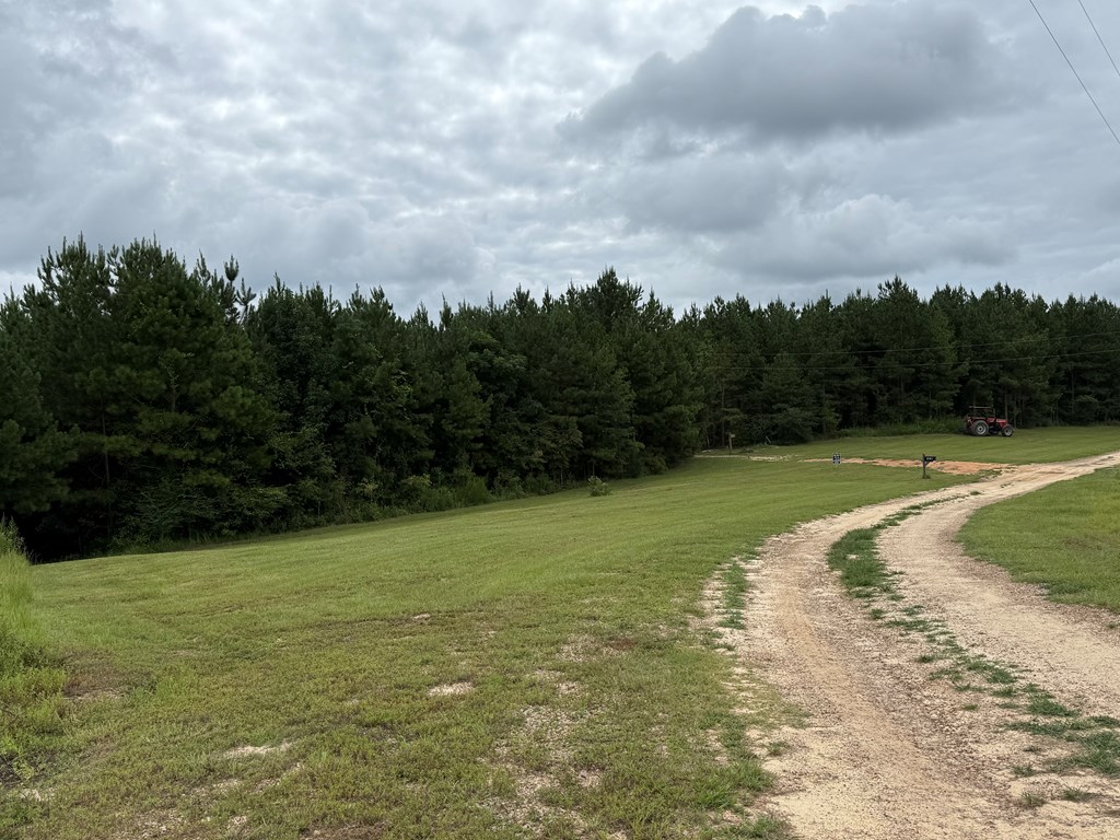 410 County Rd 2401