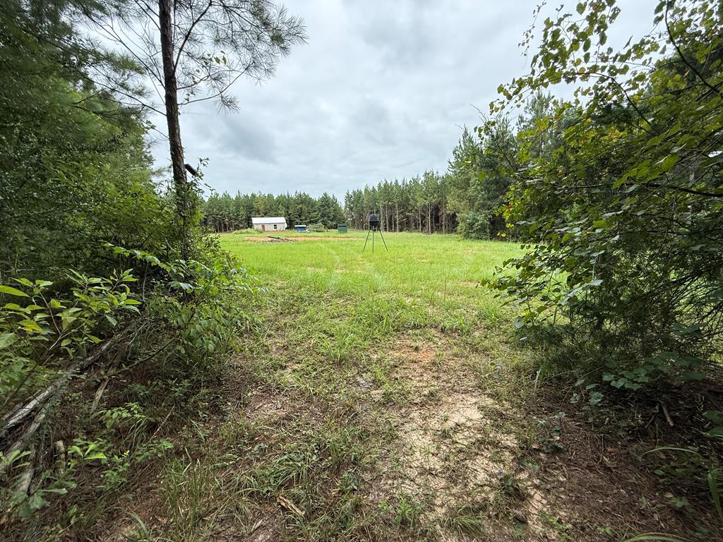 410 County Rd 2401
