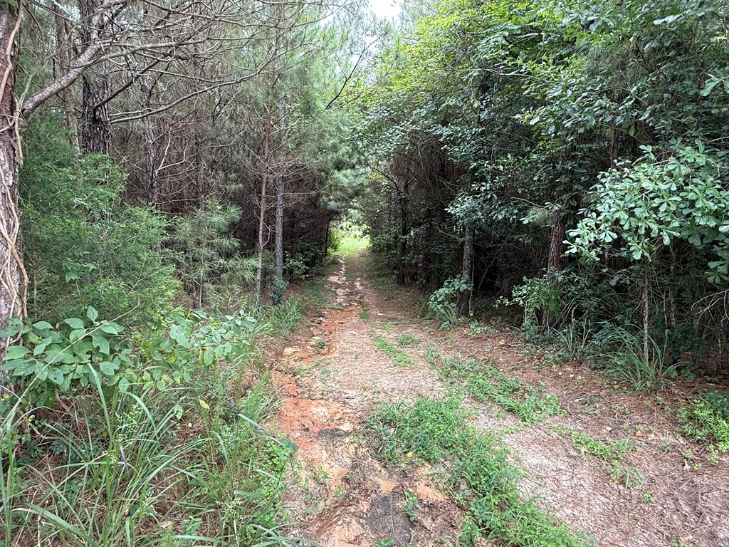 410 County Rd 2401