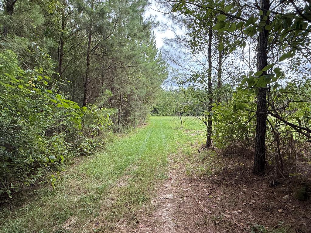410 County Rd 2401