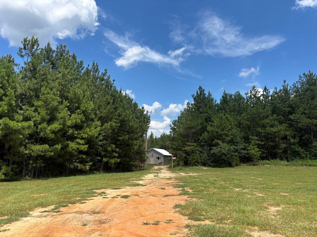 410 County Rd 2401
