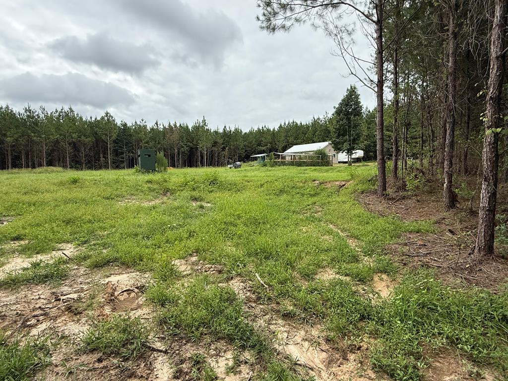 410 County Rd 2401