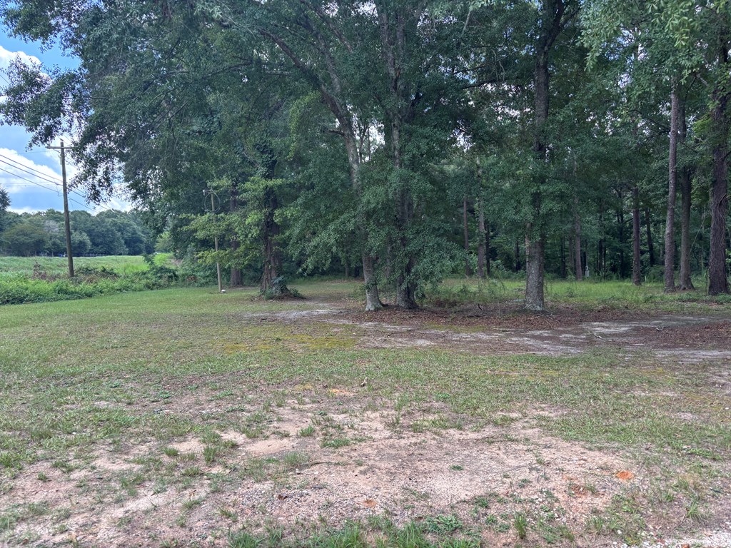 3421 Hwy 231 South