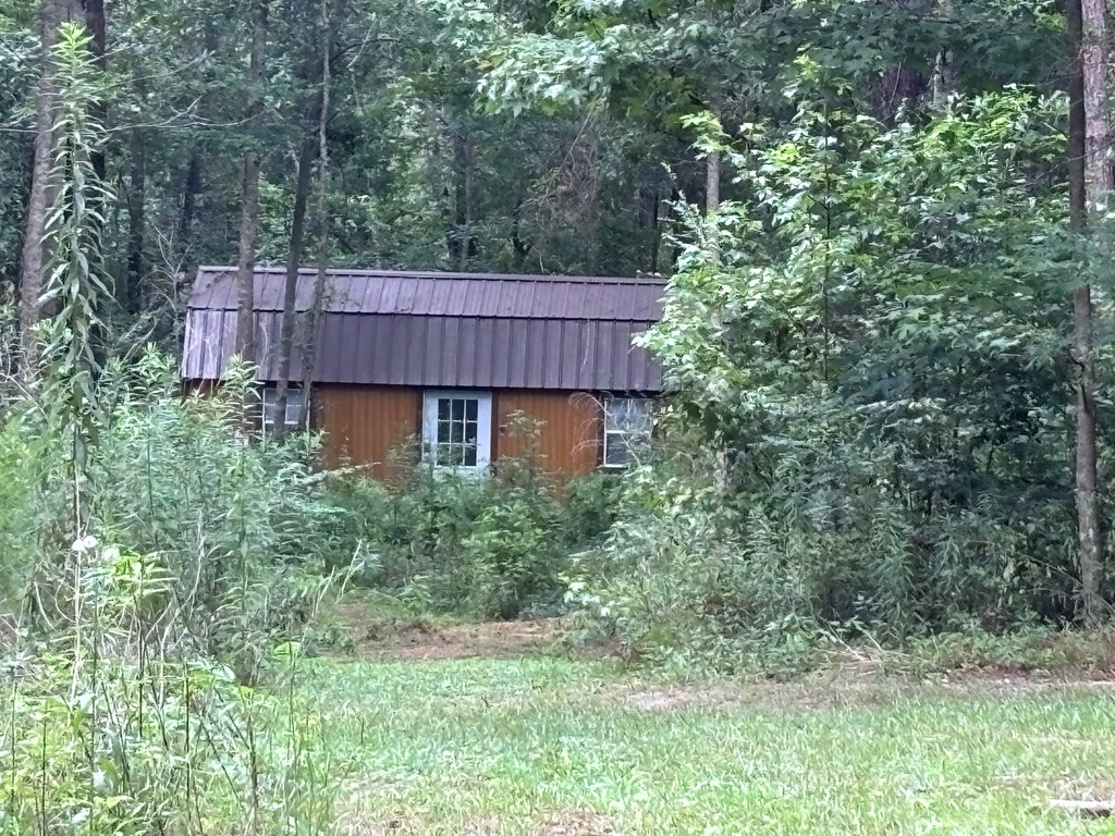 3421 Hwy 231 South