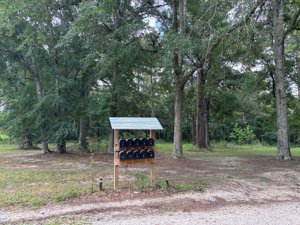 3421 Hwy 231 South