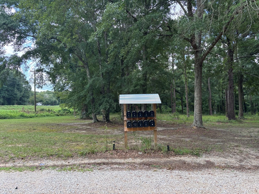 3421 Hwy 231 South