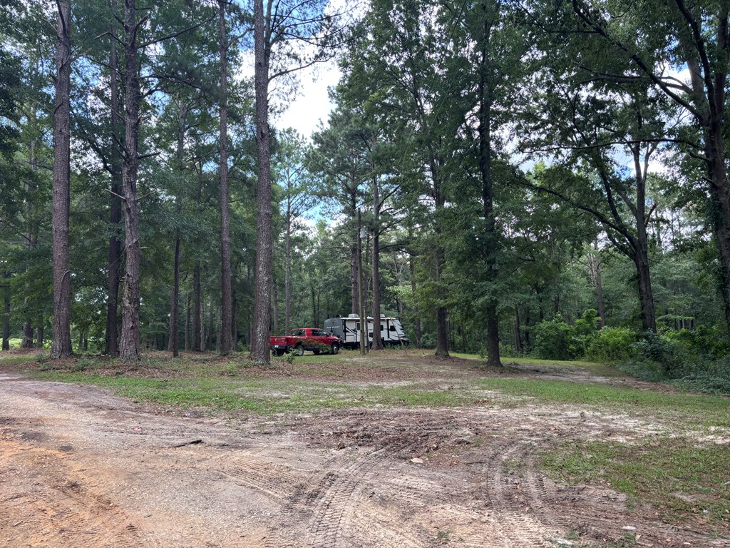 3421 Hwy 231 South