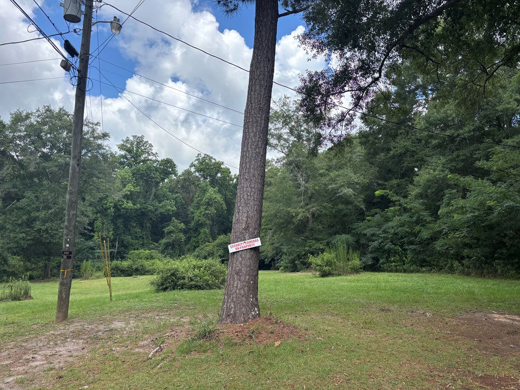 3421 Hwy 231 South