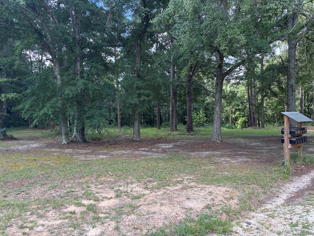 3421 Hwy 231 South