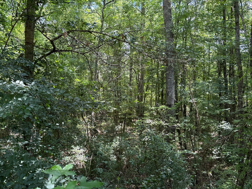 2130 County Road 6600