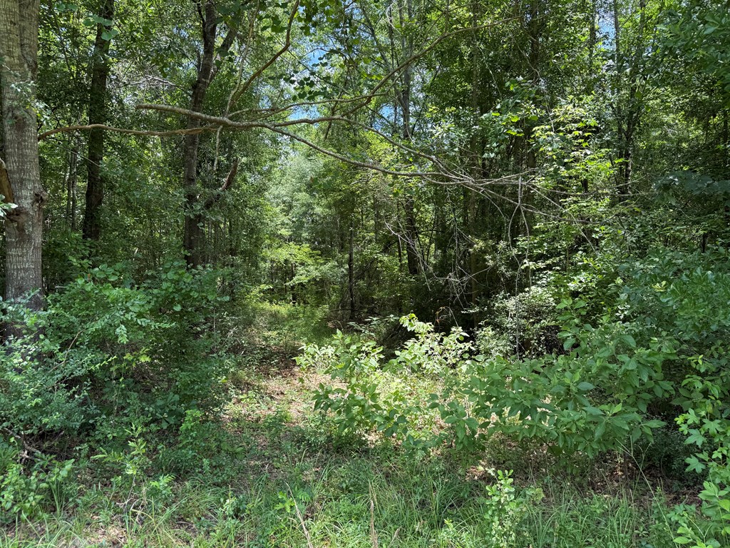 2130 County Road 6600