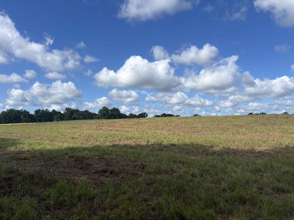 2827 Hwy 10