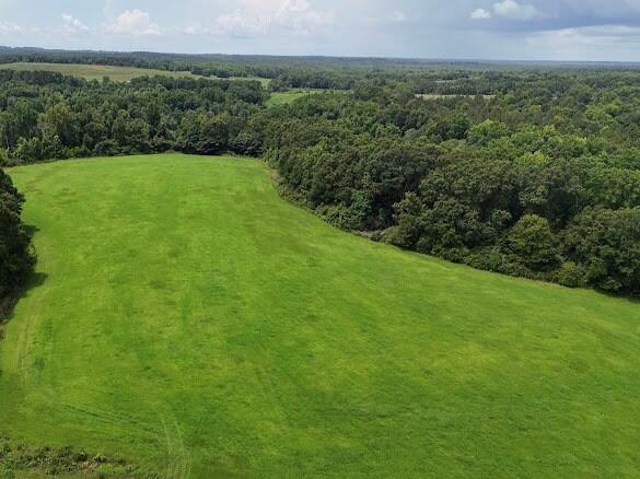 389 County Road 3316