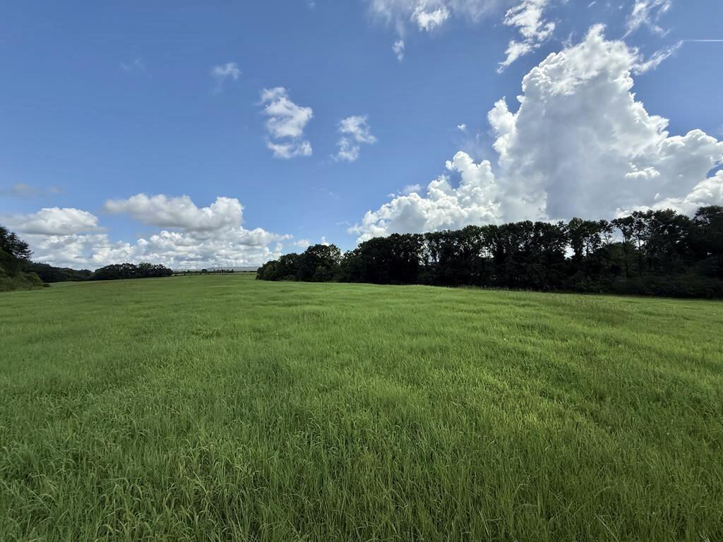 389 County Road 3316