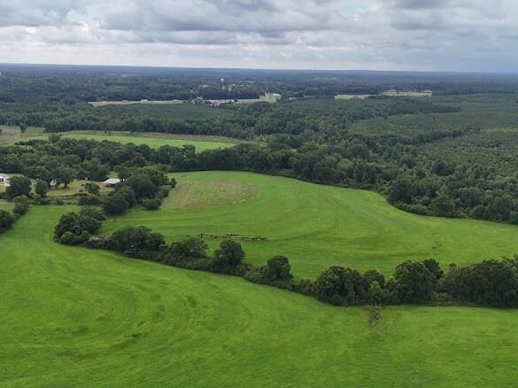 389 County Road 3316