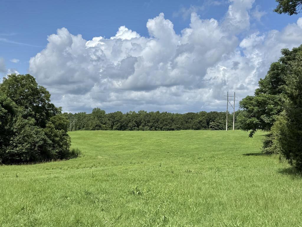 389 County Road 3316