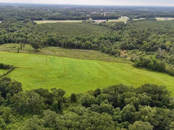 389 County Road 3316